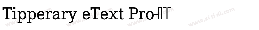 Tipperary eText Pro字体转换